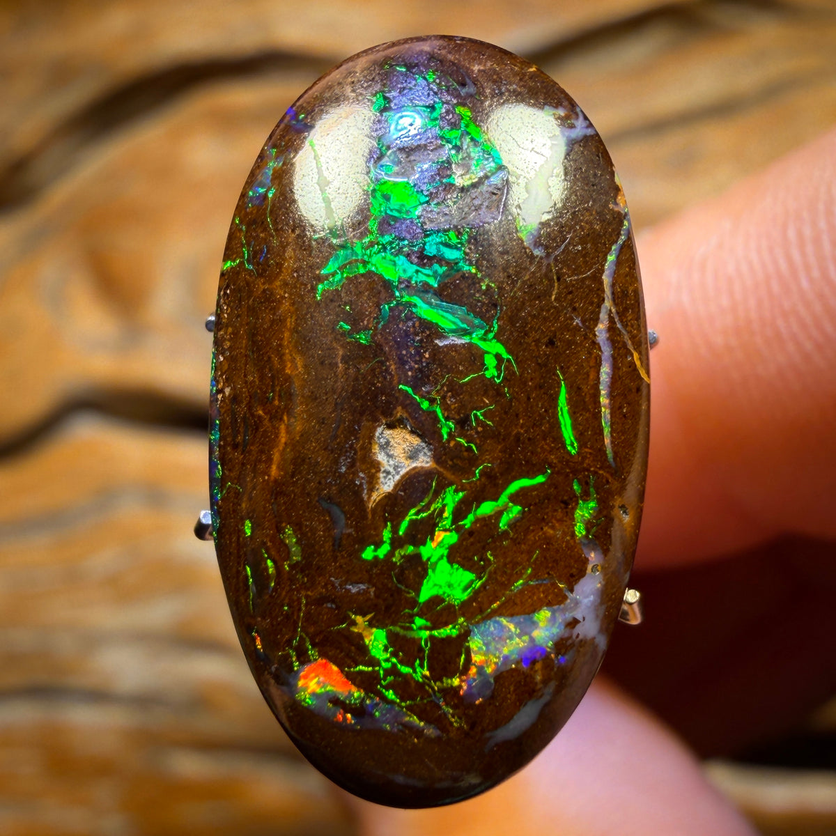 16.5cts - Queensland Boulder Opal from Yowah