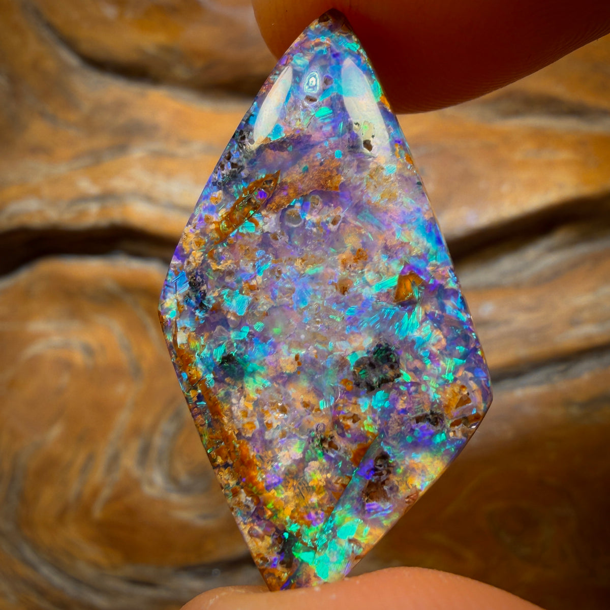 16.6cts - Gem Australian Boulder Pipe Opal