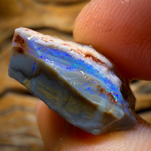 16.9cts - Lightning Ridge Opal Rough Piece