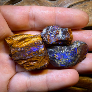 TGIF 160.2cts - 3x Yowah Nut Opal Rough Parcel. Australian Boulder Opal