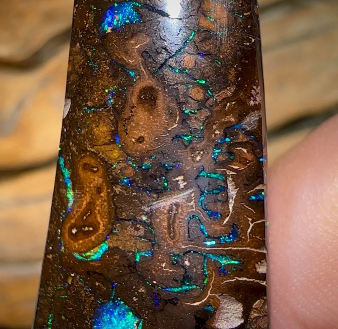 71.4cts - Tribal Koroit Nut Opal - Opal Whisperers