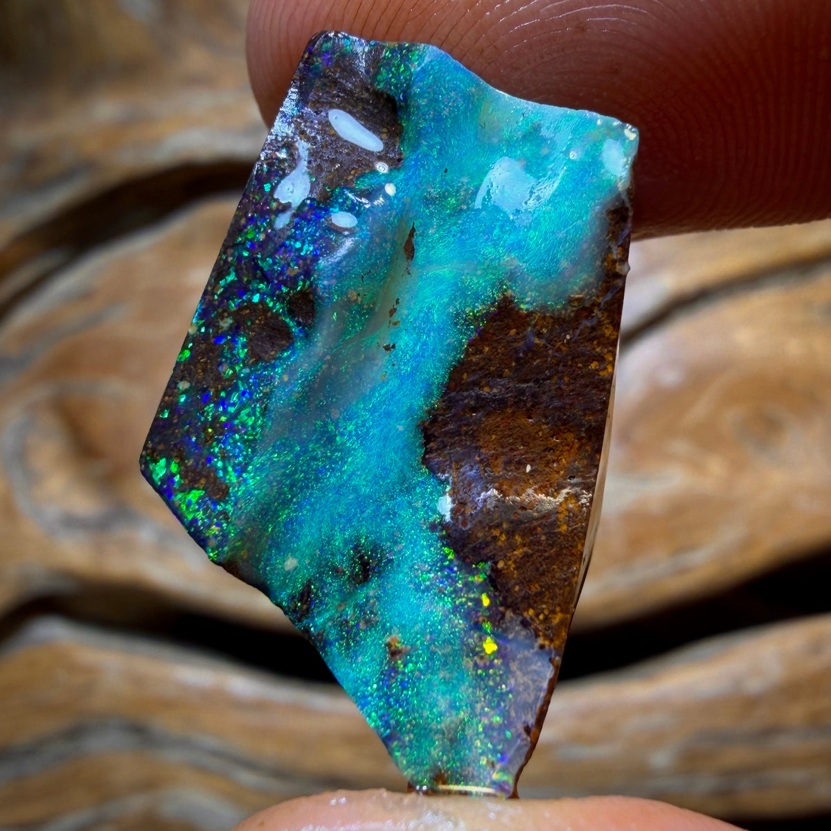 Dad Card! 44.6cts - Queensland Boulder Seam Opal Rough Rub