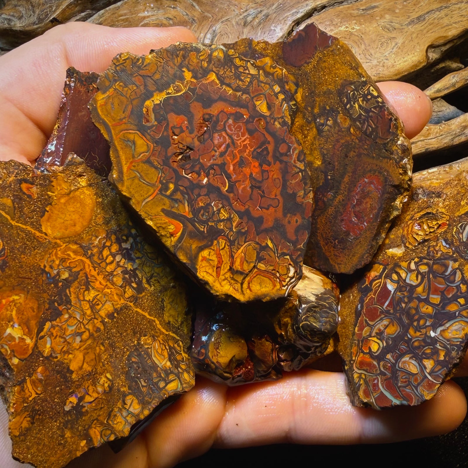 1646cts - 8x Yowah Nut Tribal Opal Rough Parcel. Australian Boulder Opal