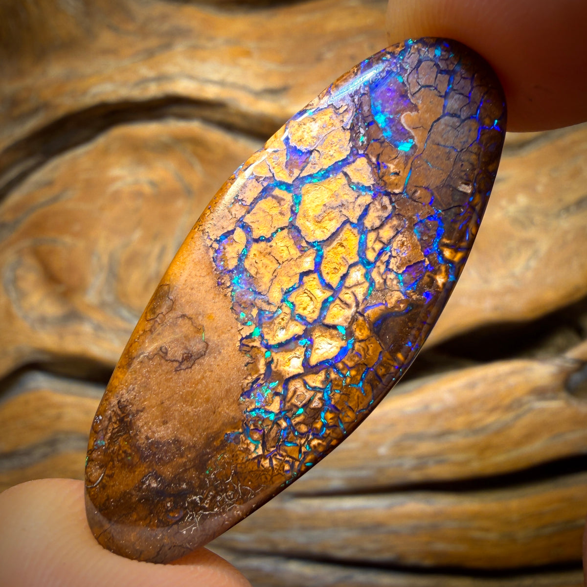 40.4cts - TOP Tan Tribal Australian Boulder Opal from Yowah