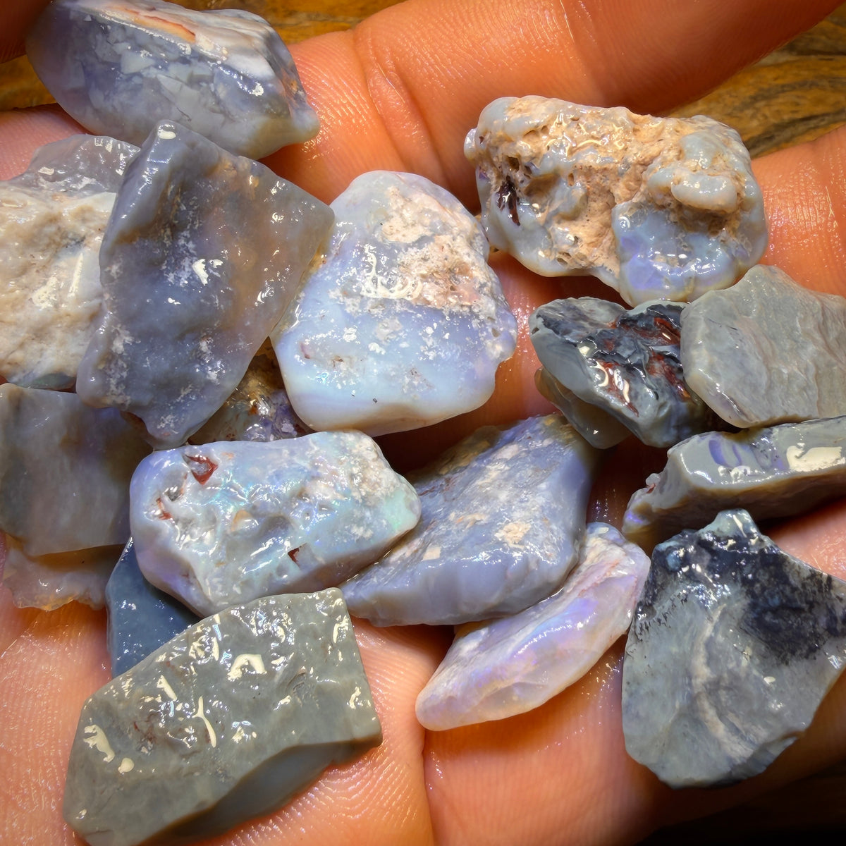 215cts - 19x Lightning Ridge Opal Rough Parcel. Practice Potch