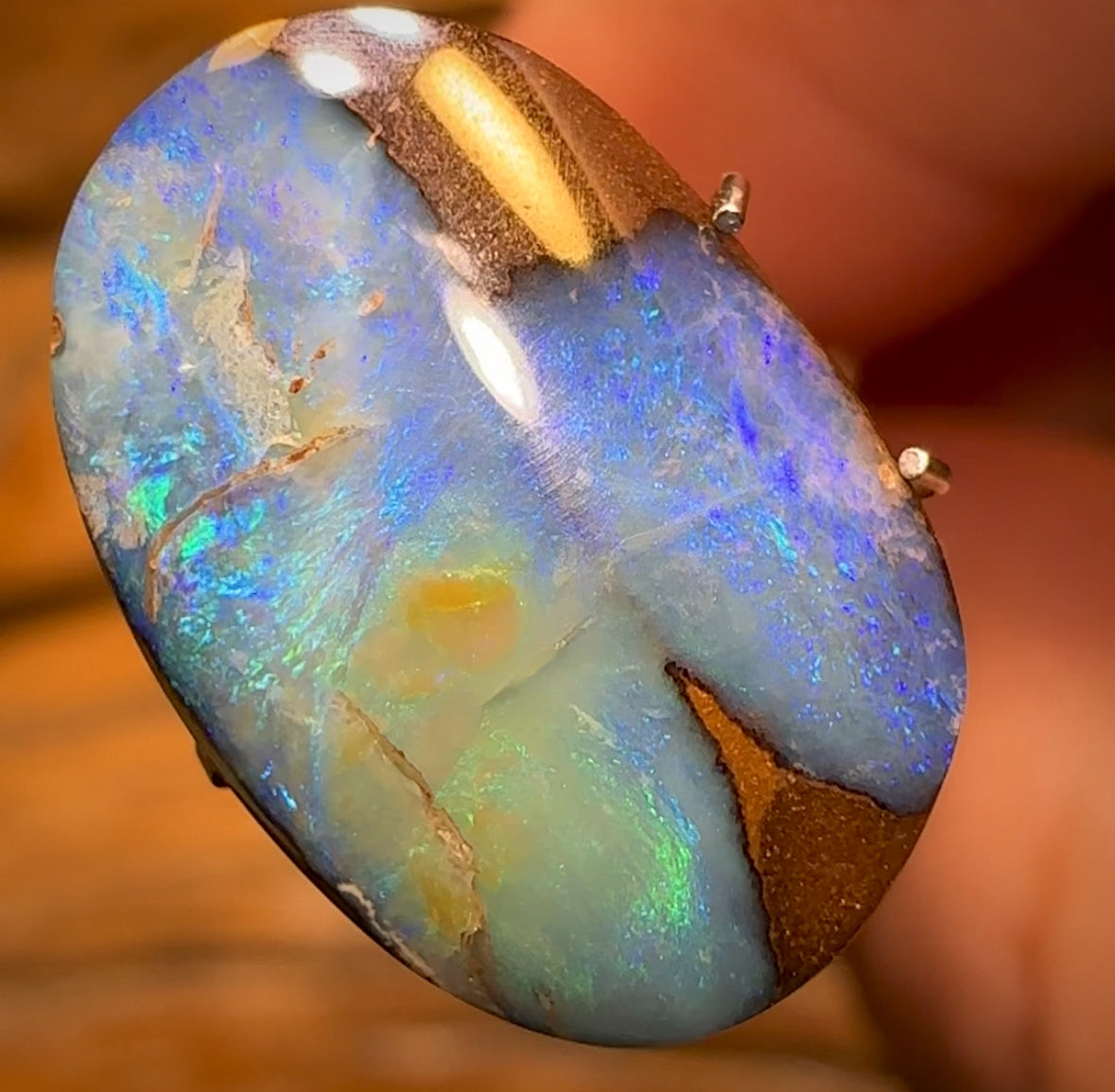 🔨 AUCTION 🔨 “Blue Beetle” 8.2cts - Australian Boulder Opal from Yowah