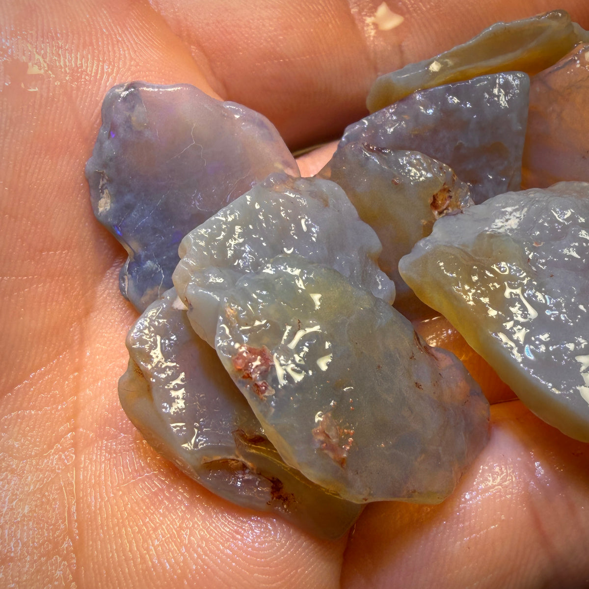 187cts - 11x Lightning Ridge Opal Rough Parcel. Practice Potch