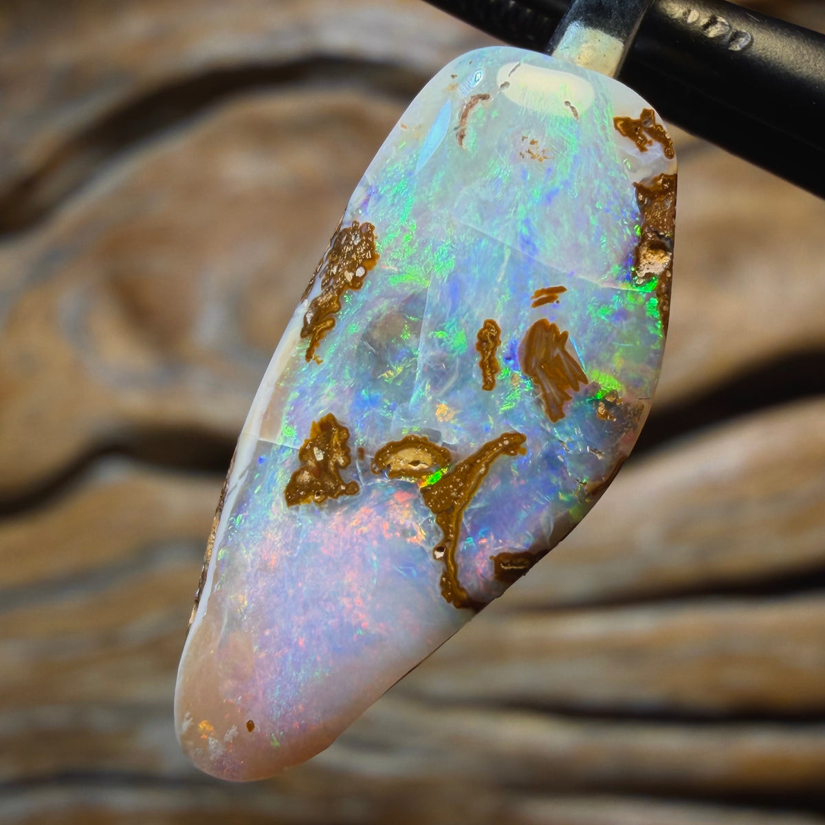🔨 AUCTION 🔨 10.2cts - Solid Queensland Boulder Pipe Opal Pendant