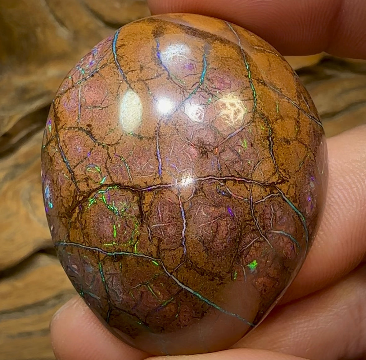 160cts - Large Yowah Nut Opal. Tribal Pattern - Opal Whisperers