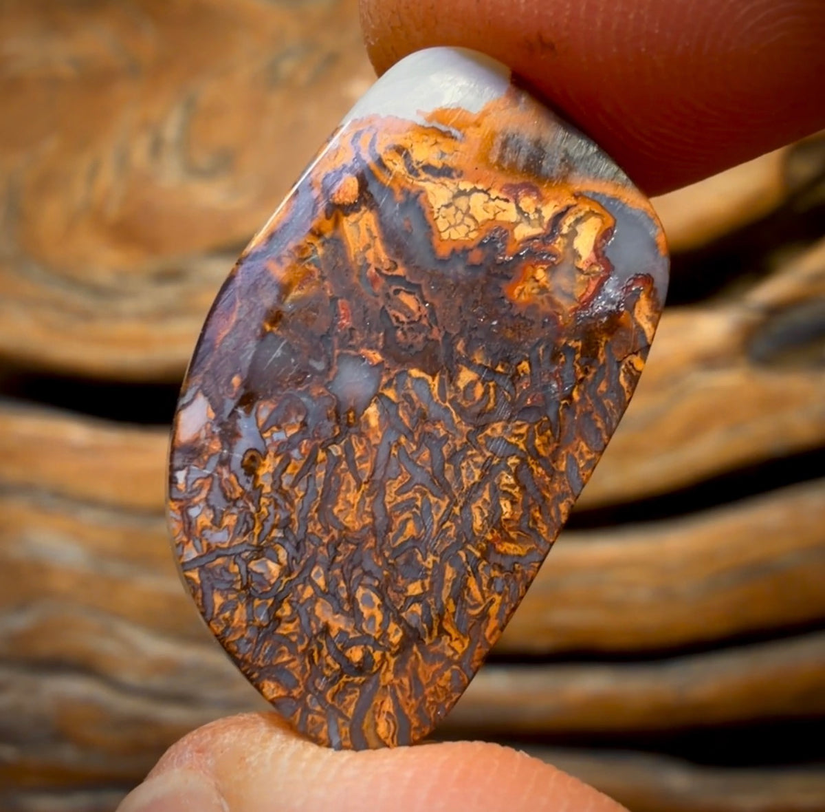 19.3cts - Queensland Boulder Opal from Yowah