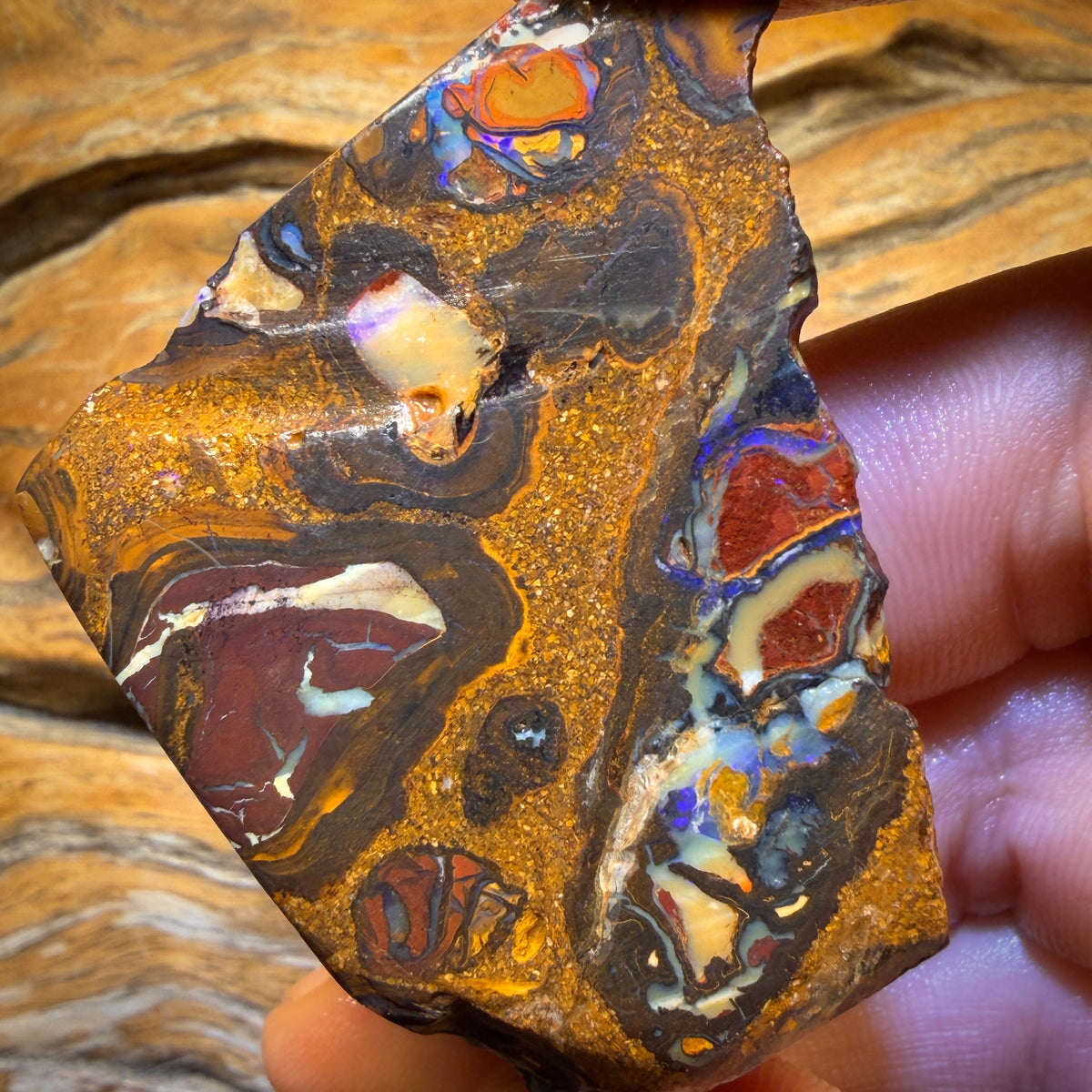 196.7cts - Yowah Nut Conglomerate Rough Piece. Featured On ‘OUTBACK OPAL HUNTERS’!!