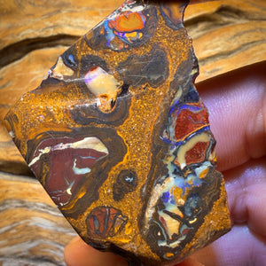 196.7cts - Yowah Nut Conglomerate Rough Piece. Featured On ‘OUTBACK OPAL HUNTERS’!!