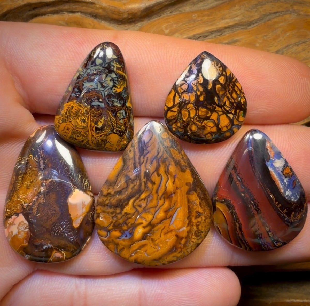 🔒 141.5cts - 5x Australian Tribal Boulder Opal’s. Wholesale Dealers Parcel
