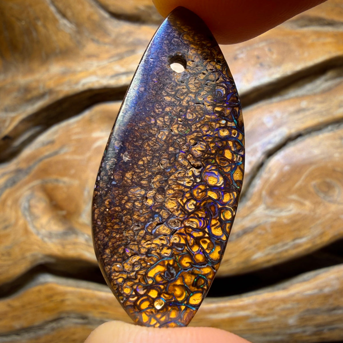 Wildcard! 40 x 17mm - Drilled Tribal Queensland Boulder Opal