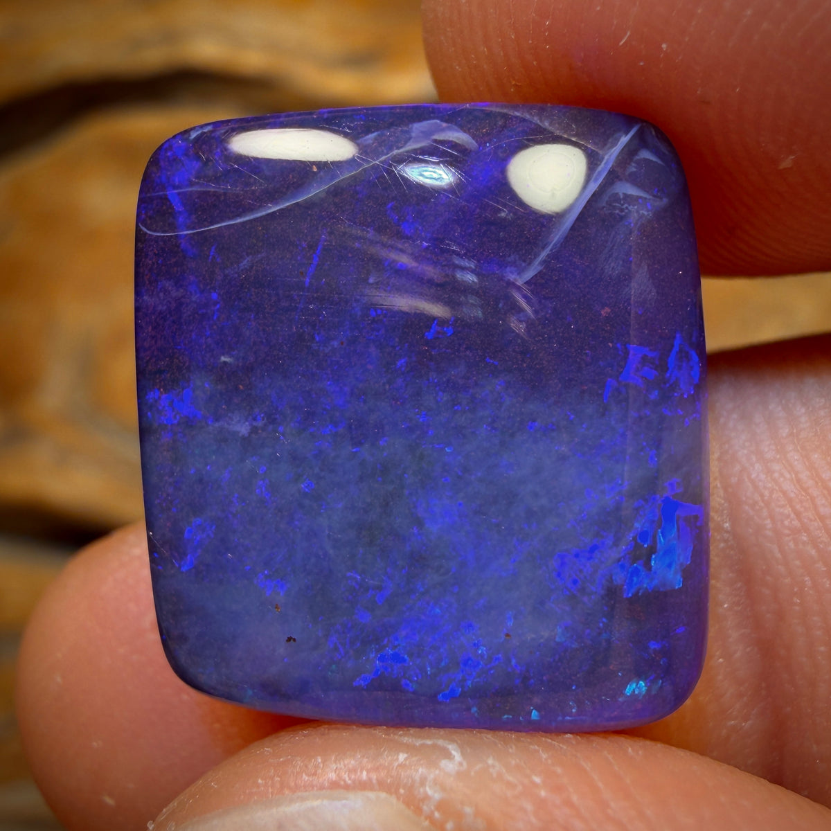 17.1cts - Gem Queensland Boulder Seam Opal