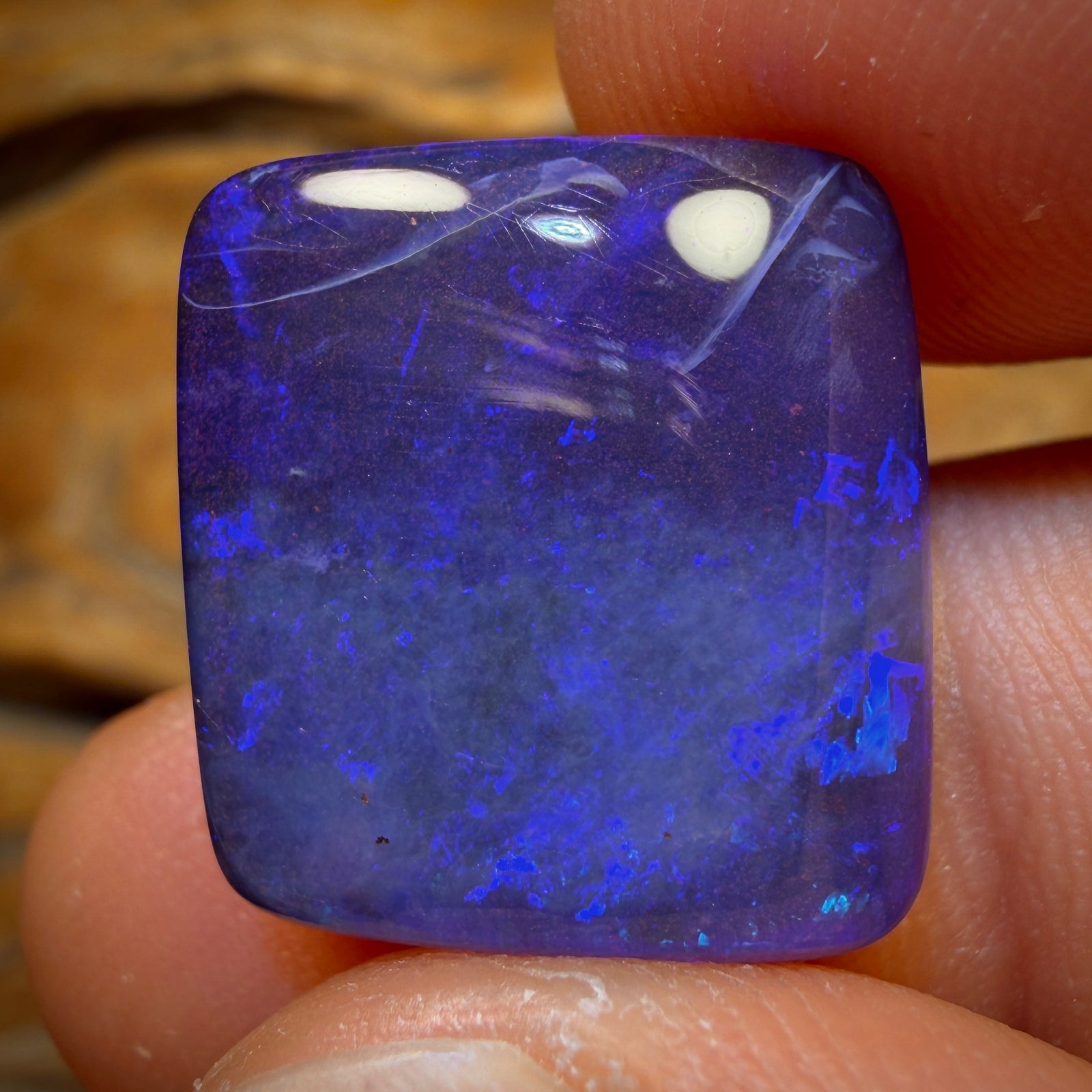 17.1cts - Gem Queensland Boulder Seam Opal