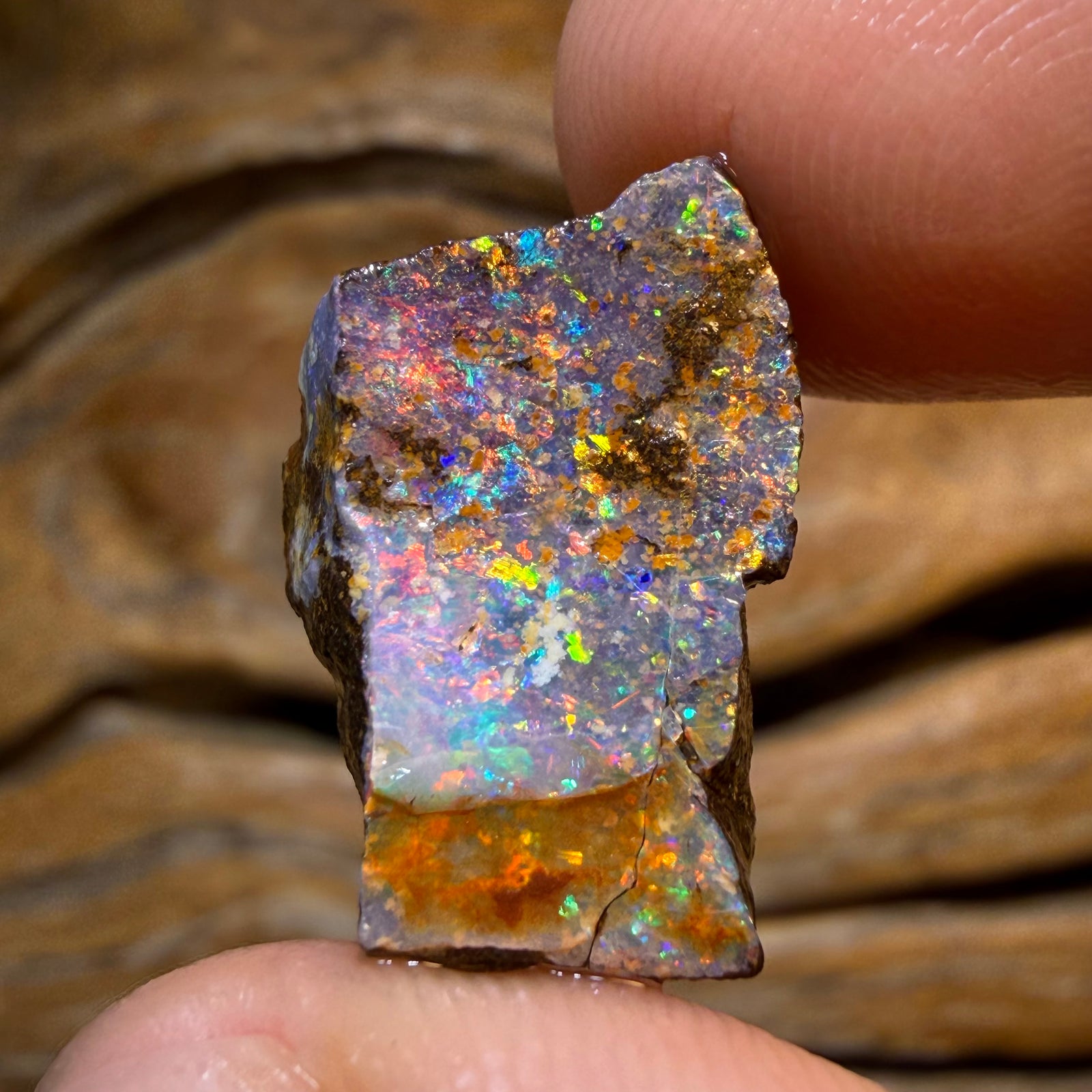 17.3cts - Queensland Boulder Seam Opal Rough Piece. Natural Split