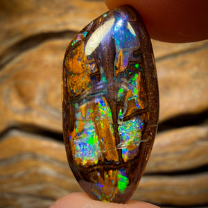 17.9cts - Top Wood Fossil Replacement Boulder Opal from Yowah