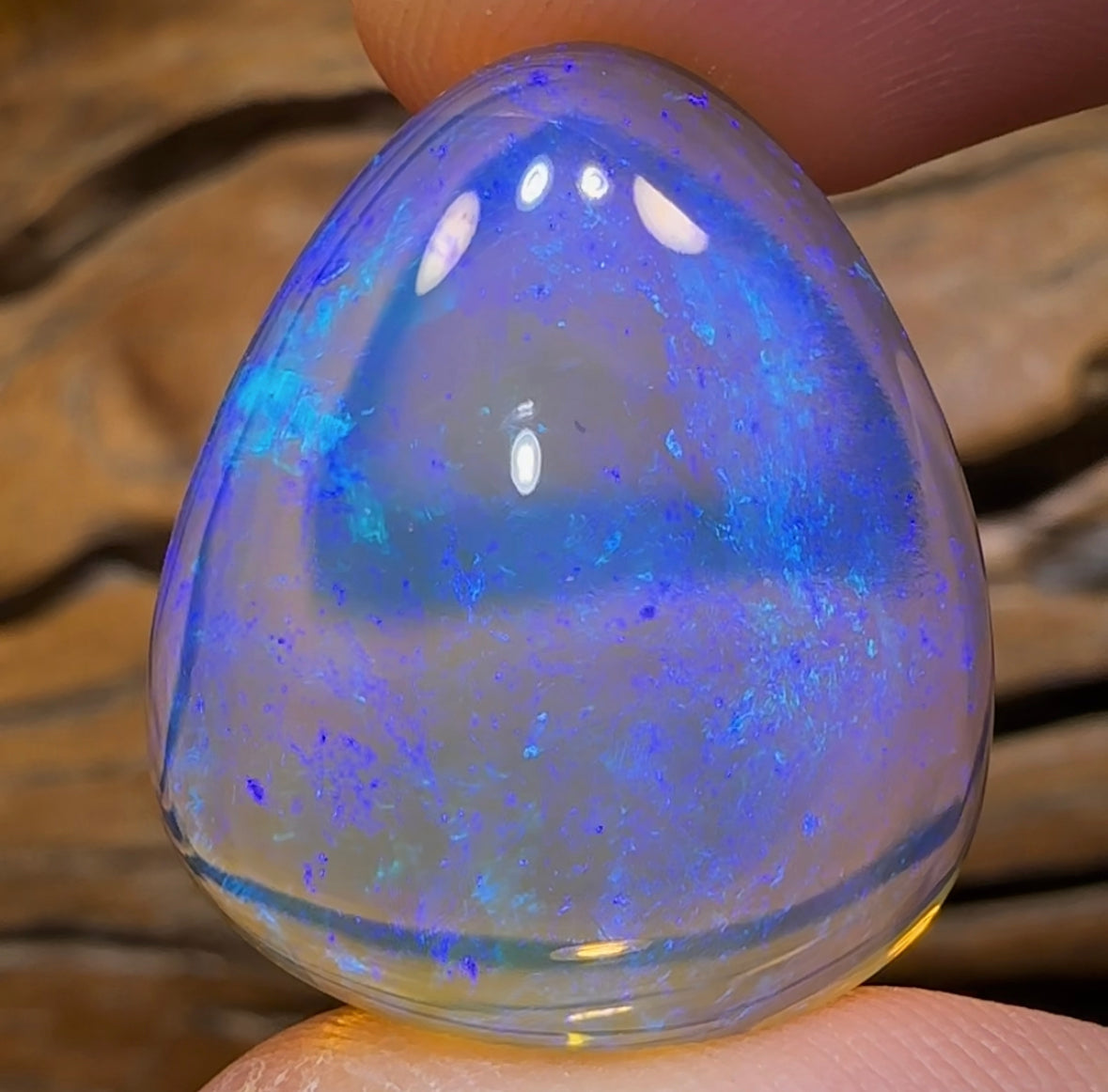 41.7cts - BIG GEM Lightning Ridge Crystal Opal. Heritage Collection - Opal Whisperers