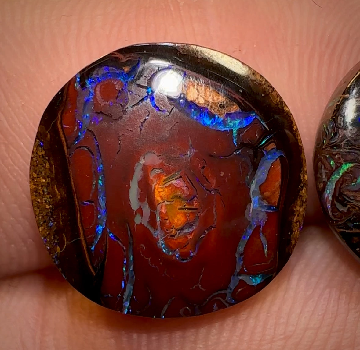 13.8cts - Tribal Queensland Boulder Opal Pair