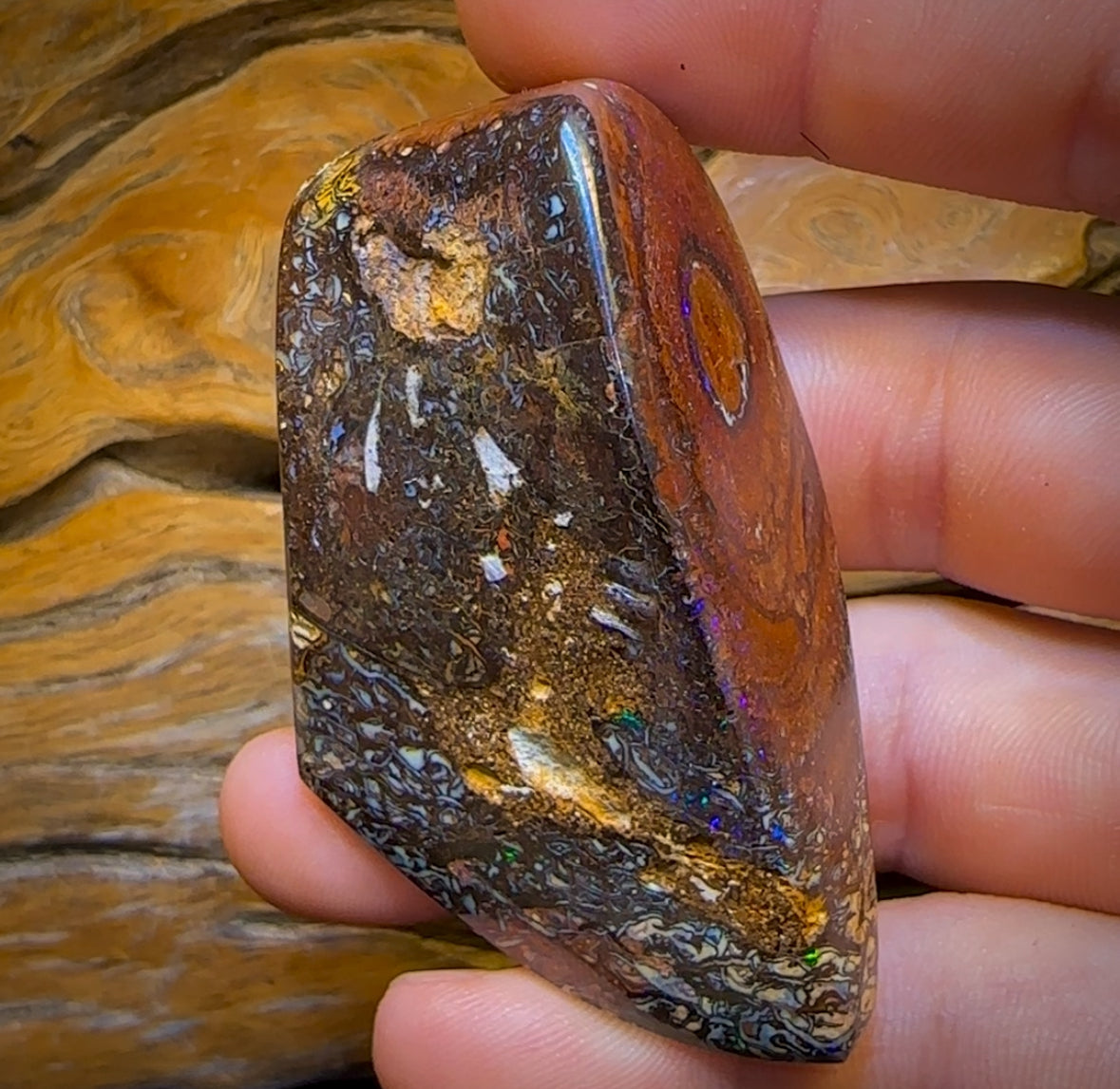 Auction Fall-Through = Your Gain! 🔥 Now More Than 50% Off RRP 🚨 448cts - Tribal Queensland Boulder Opal. Polished Specimen