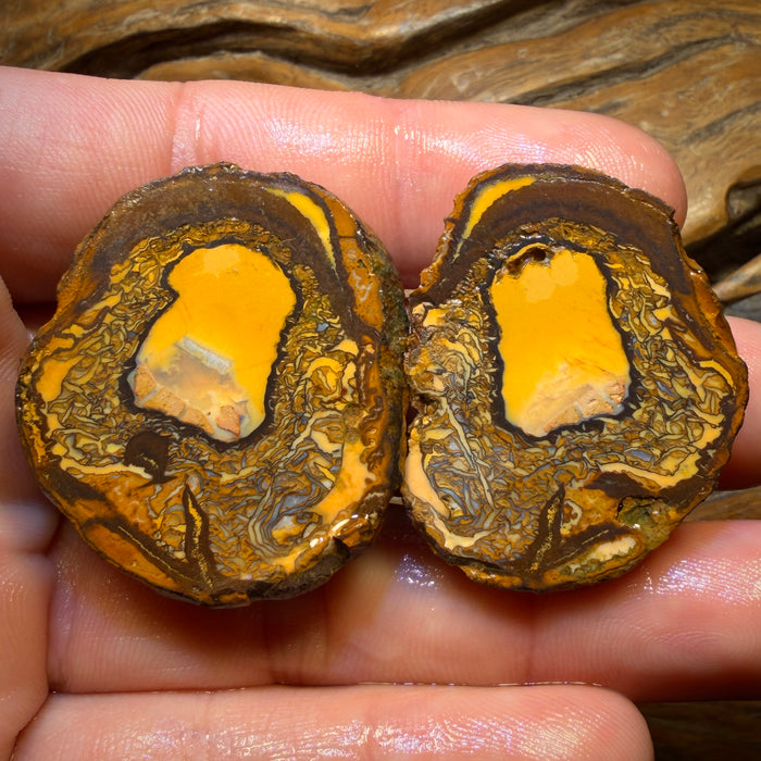 173cts - RARE Yowah Nut Partial Crystal Centre Rough Specimen Pair
