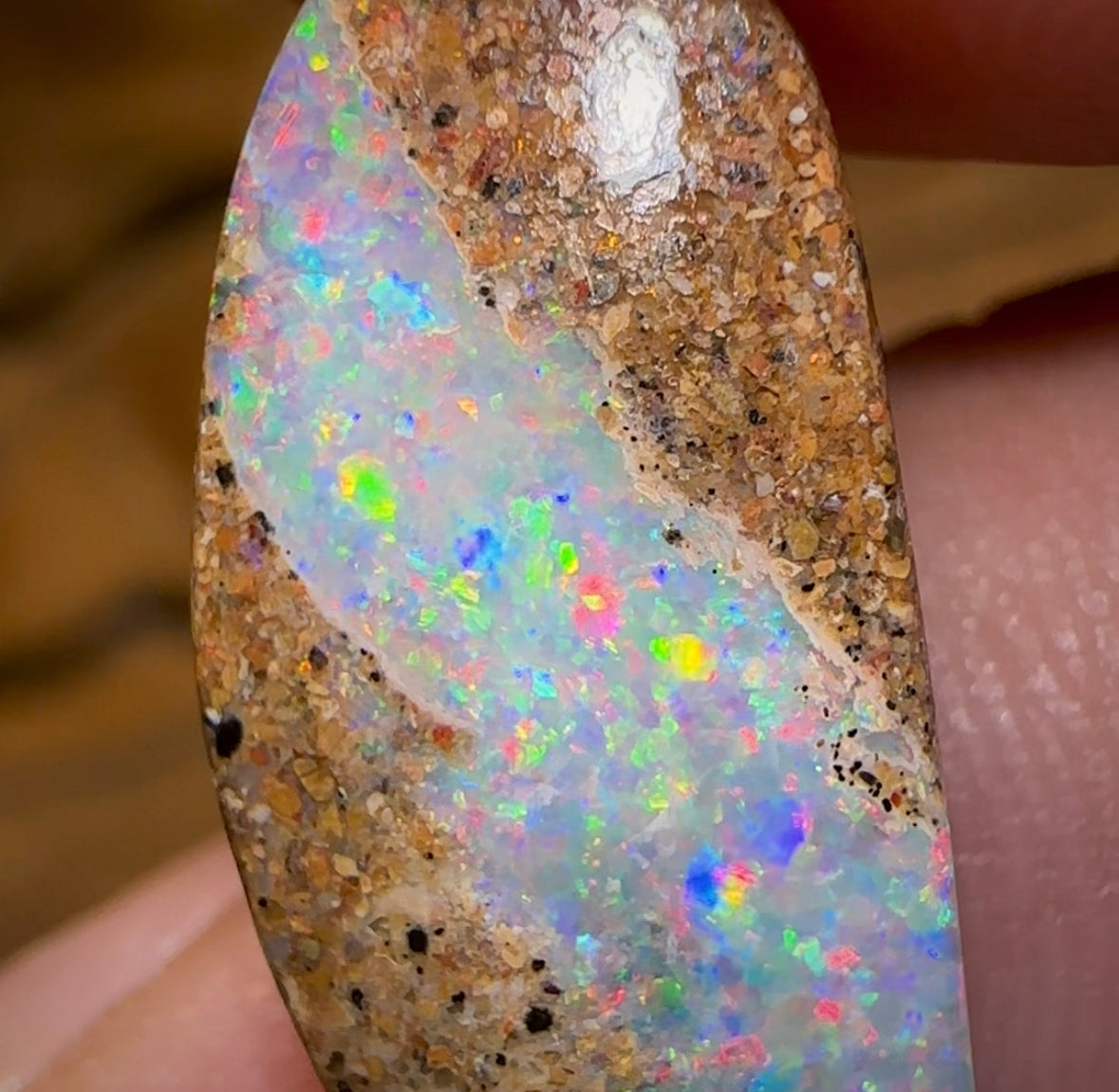 6.5cts - Solid Australian Boulder Pipe Opal Red/ Multi - Opal Whisperers