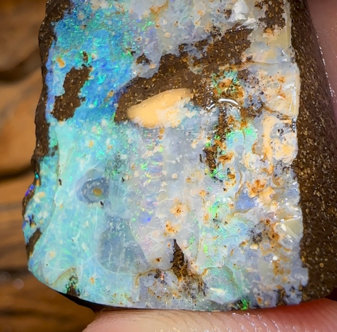 92.4cts - Large Australian Boulder Opal Rough Preform. Natural Split - Opal Whisperers