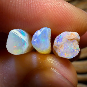 24.2cts - 3x Opalised Belemnite Geological Specimens from South Australia