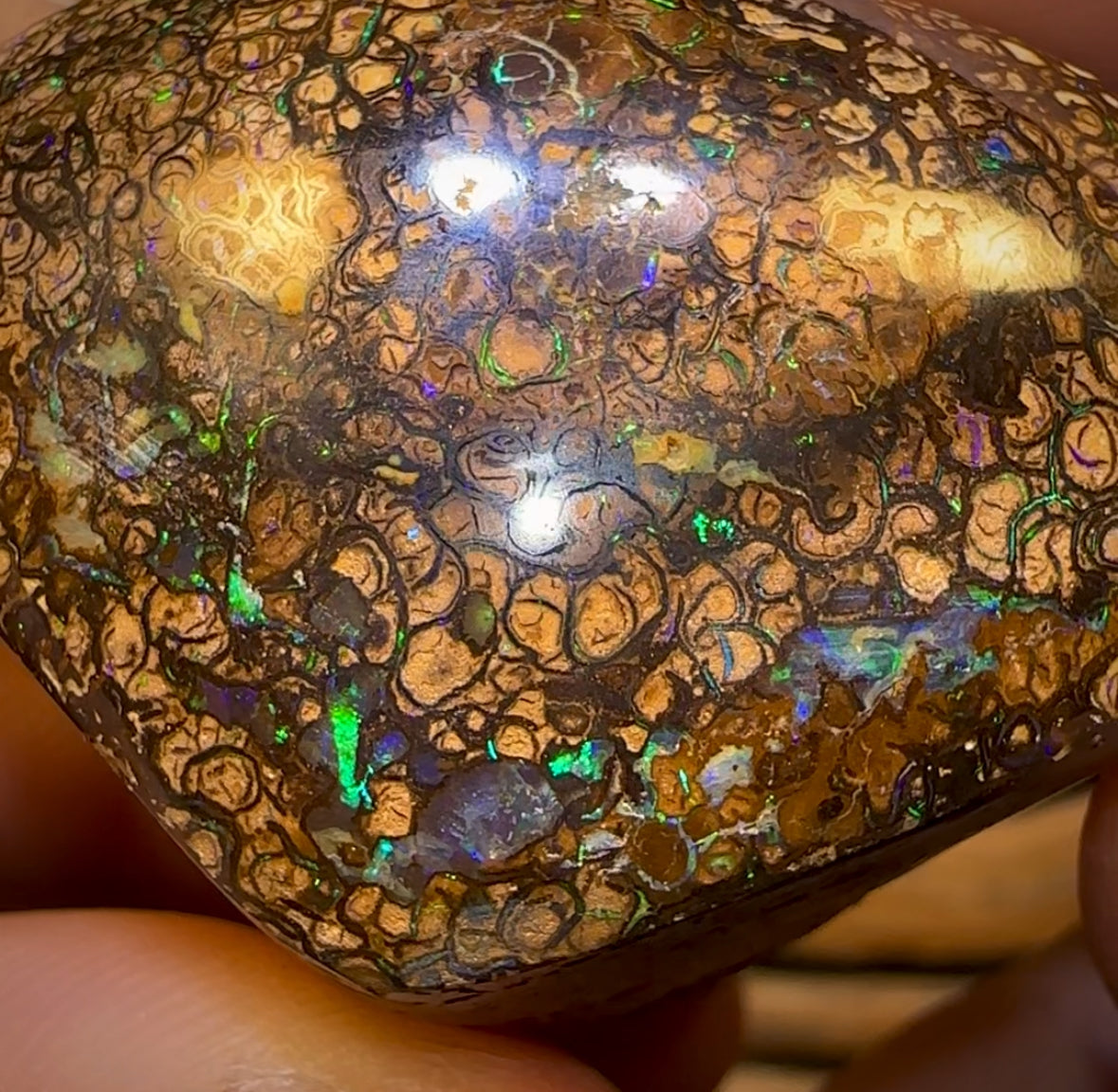 243.8cts - Rare Polished Tribal Yowah Nut Opal Geological Specimen with Gypsum