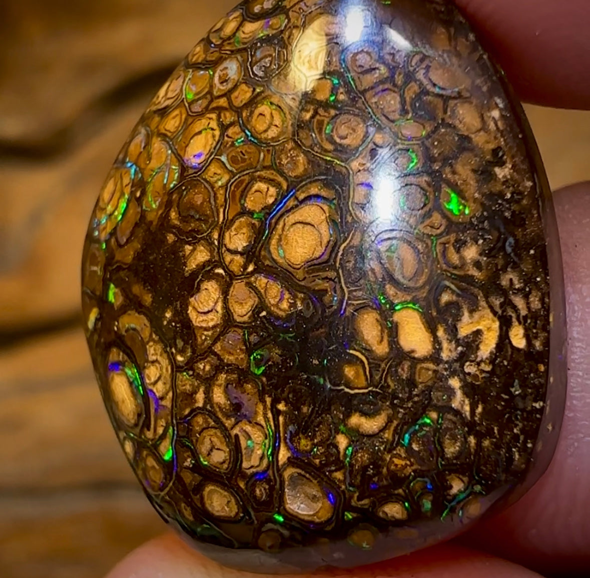 27.3cts - Queensland Boulder Opal. Top Pattern Yowah Tribal - Opal Whisperers