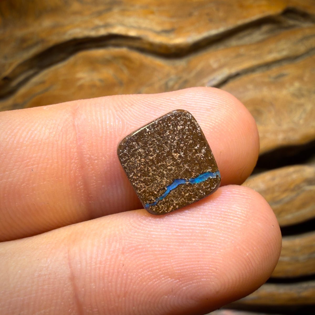 Wildcard! 7.1cts - Australian Boulder Seam Opal
