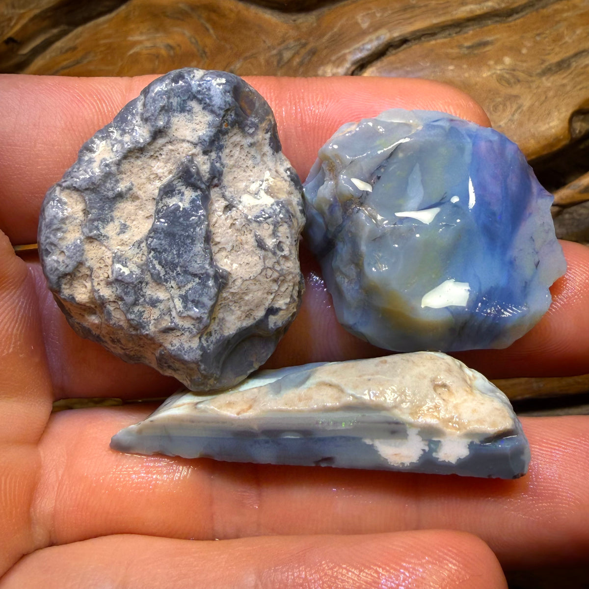 176.2cts - 3x Lightning Ridge Opal Rough Parcel