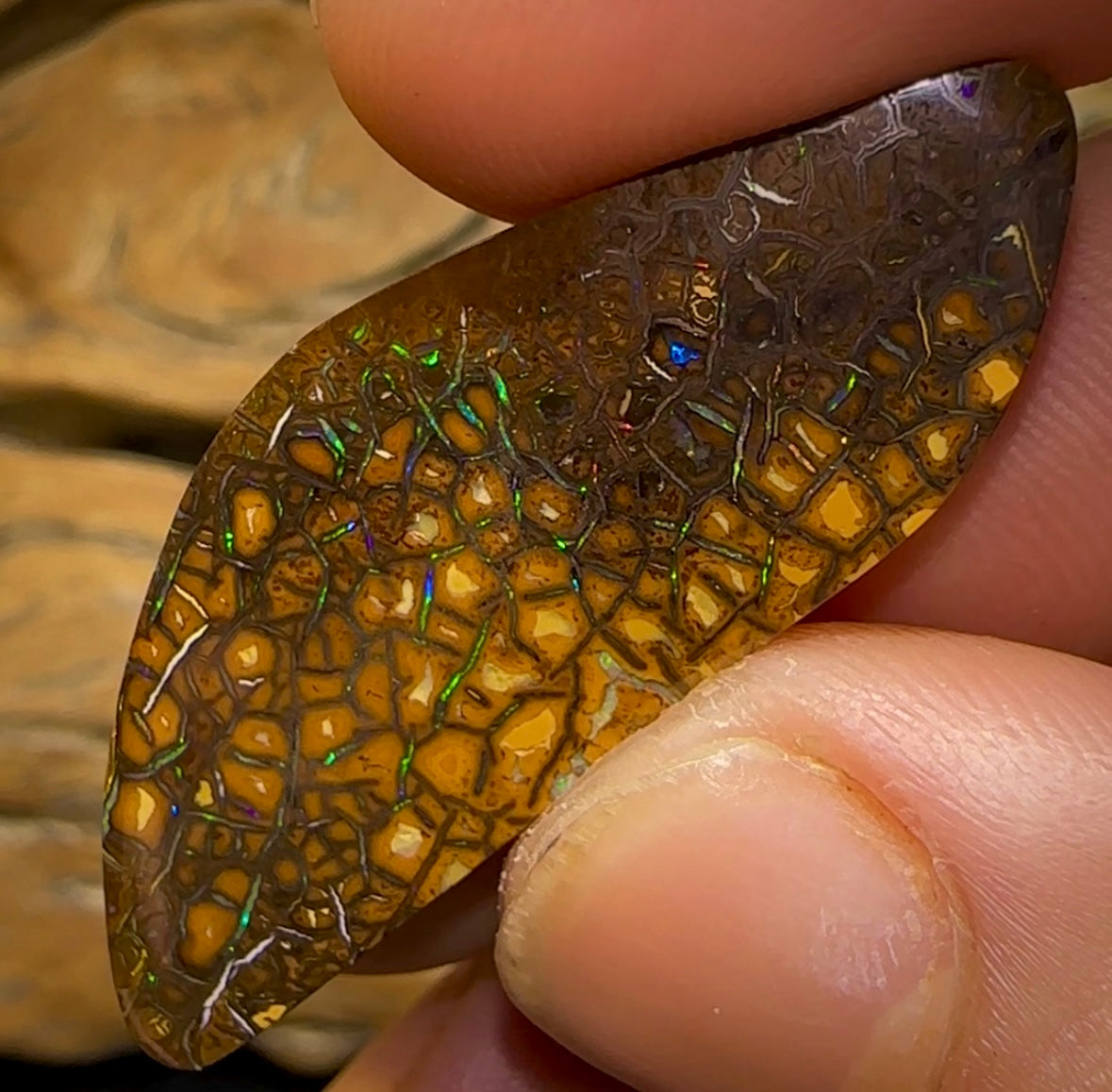 38cts - ‘Green Honey’ Tribal Queensland Boulder Opal - Opal Whisperers