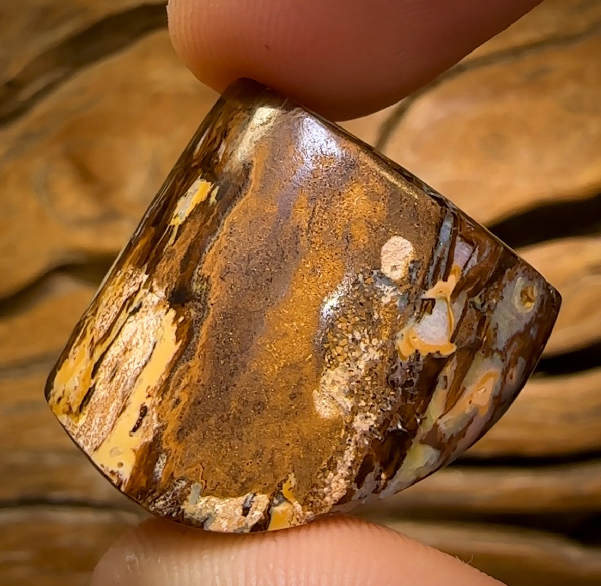 58.6cts - Australian Boulder Wood Fossil Opal Cathedral Type Pattern