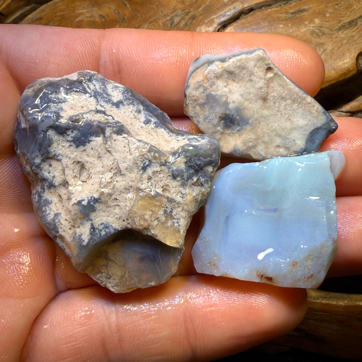 179.3cts - 3x Lightning Ridge Opal Rough Parcel