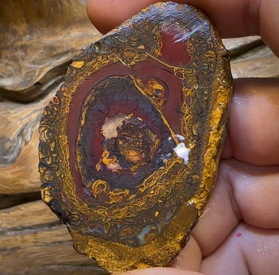 328.8cts - Yowah Nut Opal Rough Half. Australian Opal - Opal Whisperers