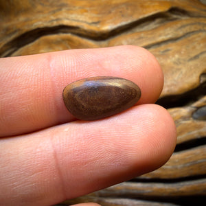 2.8cts - Australian Boulder Opal Doublet