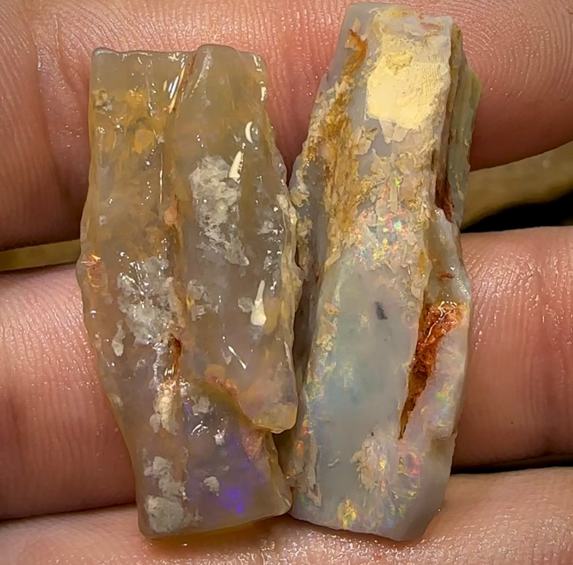 47.9cts - 2x Lightning Ridge Crystal and Dark Opal Fossil Rough Pieces - Opal Whisperers