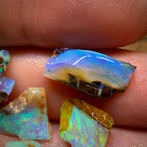 17.8cts - 6x Australian Yowah Wood fossil Crystal Opal Rough Pieces. Highly Prized Material
