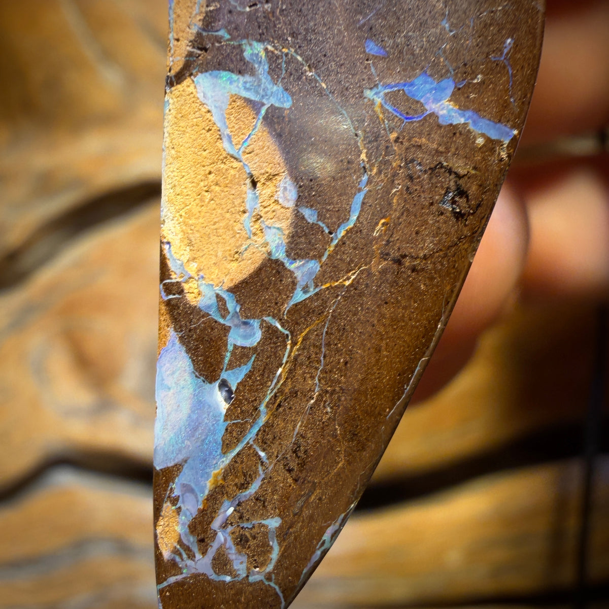 🔨 AUCTION 🔨 No Reserve 44 x 15mm - Drilled Queensland Boulder Opal Necklace