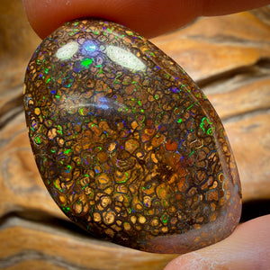63,2 ct – Yowah Nut Tribal. Australischer Boulder-Opal