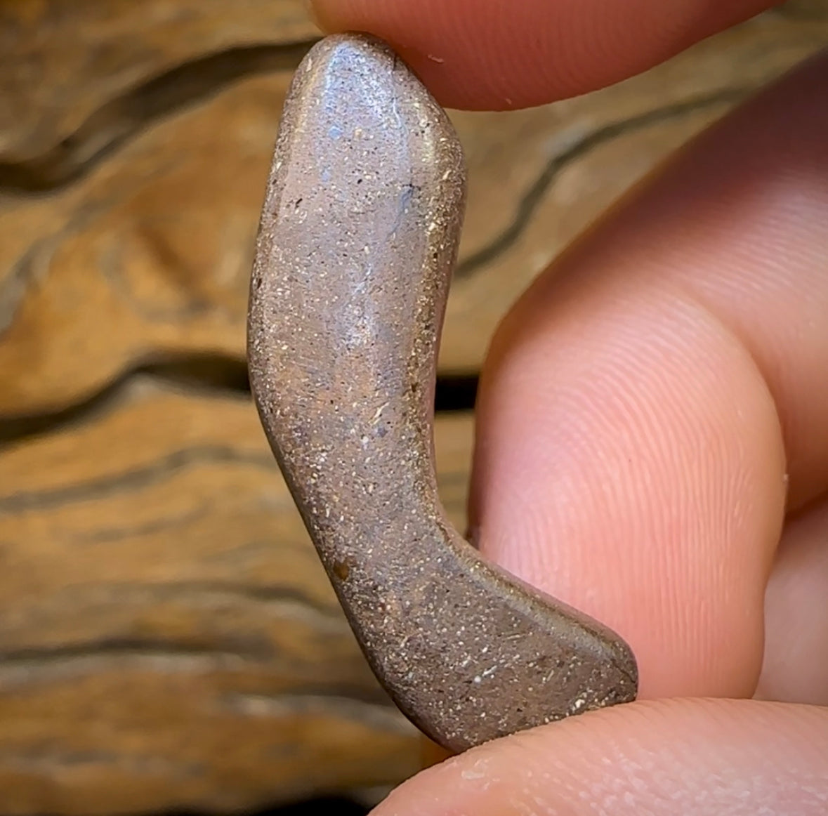 12.6cts - What happened? Australian Boulder Opal. Heritage Collection - Opal Whisperers