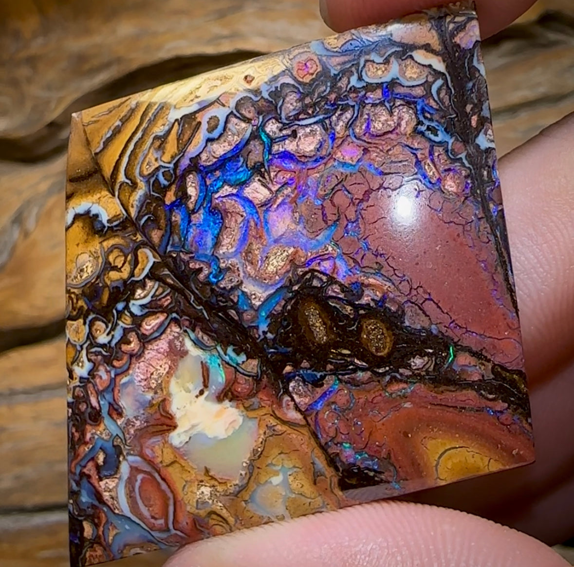 79.1cts - Large Yowah Nut Tribal Opal segmented landscape Pattern - Opal Whisperers