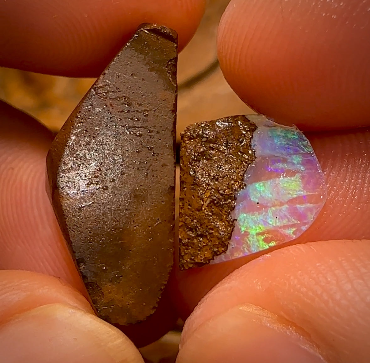 18.2cts - 2x Quality Australian Boulder Seam Opal Rough Pieces