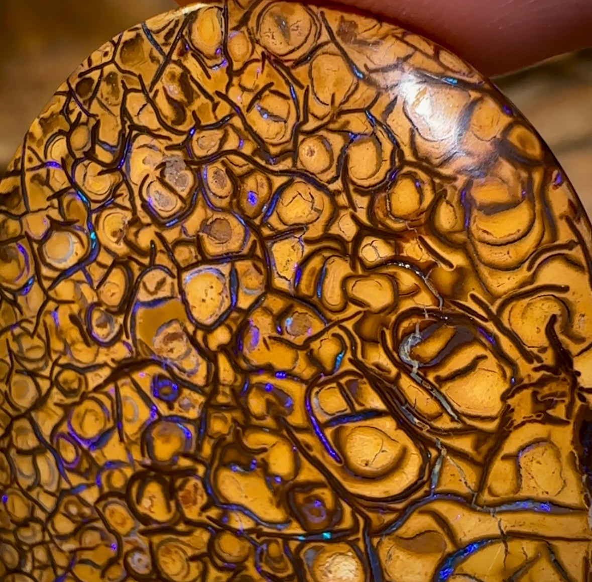 48.7cts - “Pineapple” Yowah Nut Tribal Opal., Double Sided - Opal Whisperers