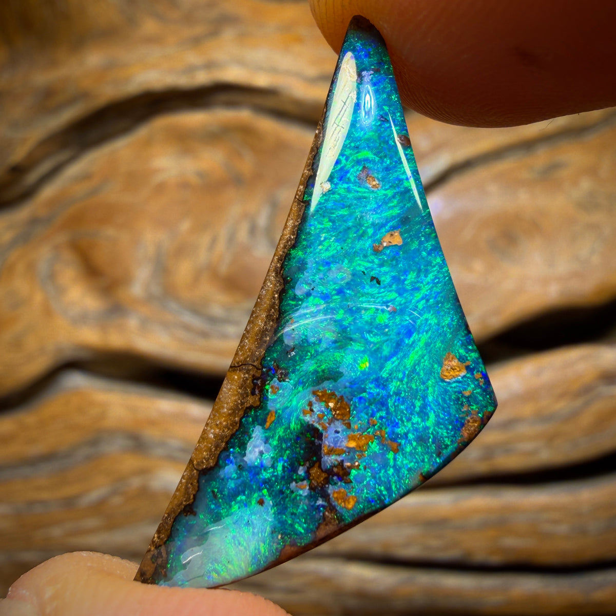 18.4cts - Top Reef Pattern Queensland Boulder Seam Opal