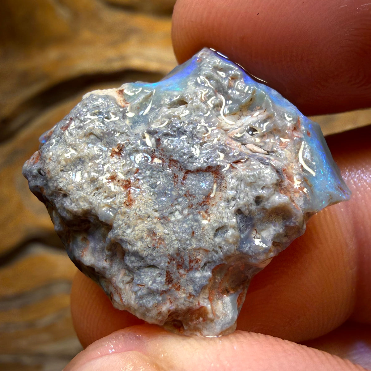 18.7cts - Lightning Ridge Dark Opal Rough Piece