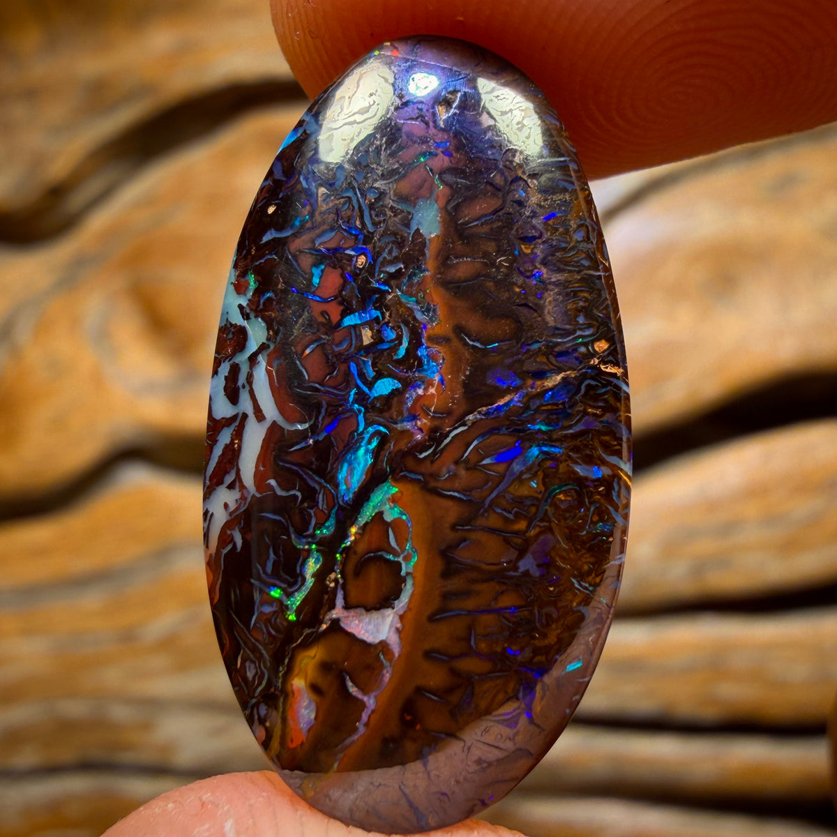 18.8cts - Tribal Queensland Boulder Opal from Koroit