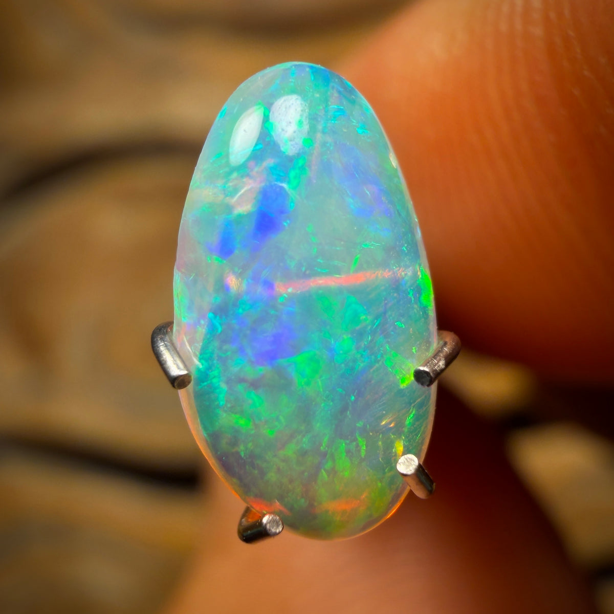 1.1cts - Polished South Australian Shell Fossil Opal